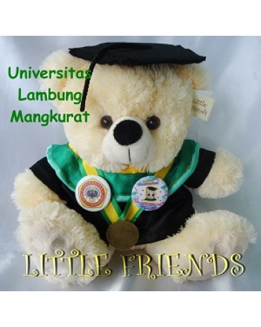 Boneka Wisuda Universitas Lambung Mangkurat - Kedokteran (30 cm)